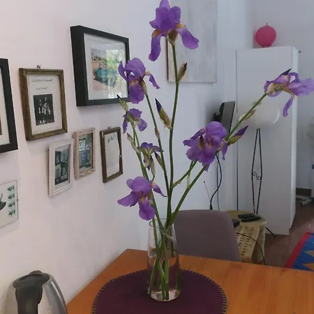 Miomir Apartment Dubrovnik