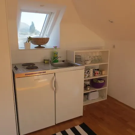 Apartment Miomir *